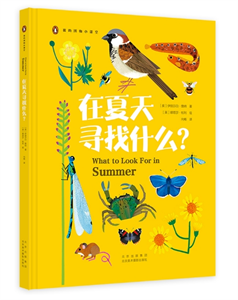 在夏天寻找什么？